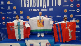 Кировские тхэквондисты привезли четыре медали с чемпионата России
