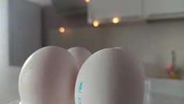 Росптицесоюз: яйца в России остаются одними из самых дешевых в мире