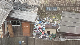 Мусор и крысы: кировчане возмущены огромной свалкой у дома на Милицейской