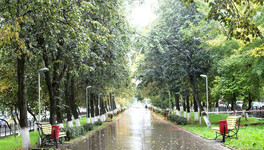 Погода в Кирове. На неделе в город придут осенние дожди и холода