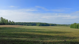 Аграрии Кировской области начали весенние полевые работы