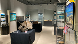 Вятский палеонтологический музей в 2025 году принял свыше 28 тысяч посетителей