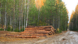 В Кировской области крупные лесопромышленники будут объединяться