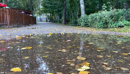 Погода в Кирове с 1 по 5 ноября. Всю неделю ожидаются дожди и южный ветер