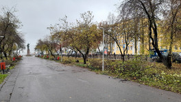 На бульваре Октябрьского проспекта начались работы по озеленению