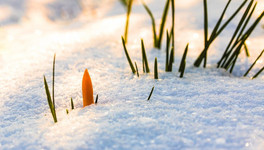 В Кировской области ожидается тёплый апрель