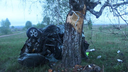 В Советском районе водитель «Лады» насмерть разбился об дерево