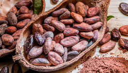 Учёные доказали, что употребление какао полезно для сердечно-сосудистой системы