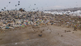 Новый этап мусорной реформы: кировчанам предлагают заключать договоры на вывоз отходов