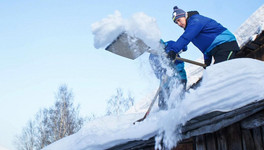 Активисты «Снежного десанта» отправились в семь районов Кировской области