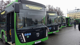 Кировская область получила больше всех новых автобусов в ПФО