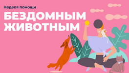 Активисты запустили в Кирове неделю добра, посвящённую помощи бездомным животным