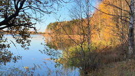 В Кировской области обезвредили браконьера