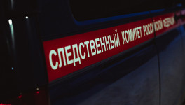 В Кирове расследовали дело о покупке и хранении психотропных веществ