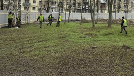 На Аллее Славы в Кирове высадят дубы, ели, липы и лесные яблони