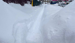 Из-за плохой уборки снега в Кировской области травмировались более 70 человек