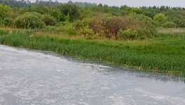 В Кумёнском районе загрязнили реку Быстрицу