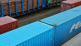 Кировская область нарастила поставки березовых палочек для мороженого в Китай