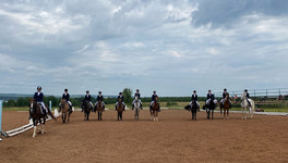 В Кировской области планируют поддержать вятскую породу лошадей