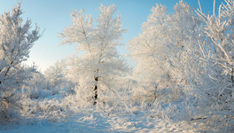 Гидрометцентр: в феврале погода в Кировской области придёт в норму