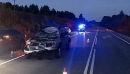 В Юрьянском районе водитель сбил лося
