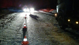 В Афанасьевском районе грузовик «Урал» переехал лежащего на дороге человека