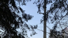 В Кирове сделали освещение к школе и спорткомплексу после жалоб