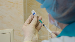 В России зарегистрировали вакцину для профилактики оспы