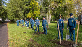 В Кирове заложили аллею к 100-летию пожарного надзора