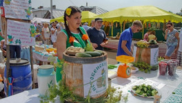 Туристические проекты из Кировской области заняли призовые места Национальной премии