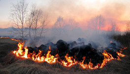 «Начался сезон горящей травы»: в Кировской области произошёл первый за год пожар на открытой местности