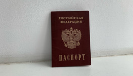 В Омутнинском районе нашли четырех нелегальных мигрантов на лесопереработке