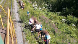 В Кировской области поезд чуть не сбил детей, которые гуляли по железнодорожным путям
