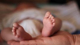 Кировчанок простимулируют к рождению детей повышенным региональным капиталом и агентствами нянь