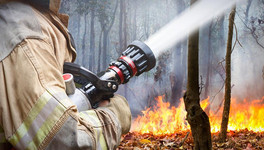 В Советском районе из-за поджога сгорело больше гектара леса