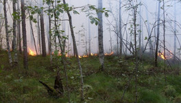 В Верхнекамском районе мужчину осудили за лесной пожар