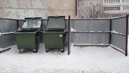 Кировчане начали воровать новые мусорные контейнеры