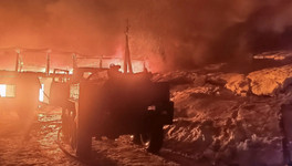 Спасатели вывели 180 коров из горящей фермы под Кировом