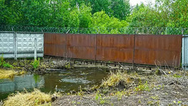 В Кирово-Чепецке зафиксировали повышение концентрации фторидов в реке Елховка