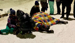 «Поскользнулась и ударилась об лёд»: на Театральной площади пострадала лошадь