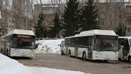 Молодым медикам в Кировской области хотят сделать бесплатный проезд