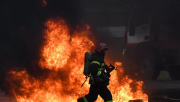 Два человека пострадали во время крупного пожара в Ленинградской области