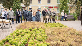 Бизнес подарил Кирову 1200 растений для сквера у площади Лепсе