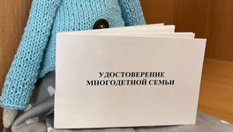 С 15 июля многодетным из Кировской области начнут выдавать удостоверения нового образца