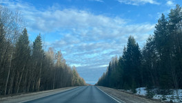В Шабалинском округе произошло ДТП с лосем