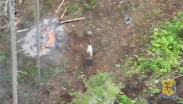 В Котельничском районе полицейские нашли заблудившихся грибников