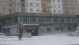 В Кировской области стало меньше компаний, но больше индивидуальных предпринимателей