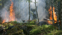 В Кировской области объявили о начале пожароопасного сезона