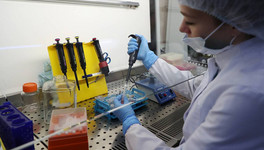 Вирусолог Чумаков заявил об искусственном создании омикрон-штамма