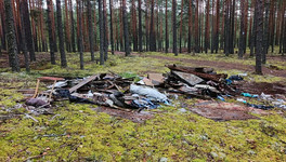 В Кировской области в 2026 году убрали 25 лесных свалок